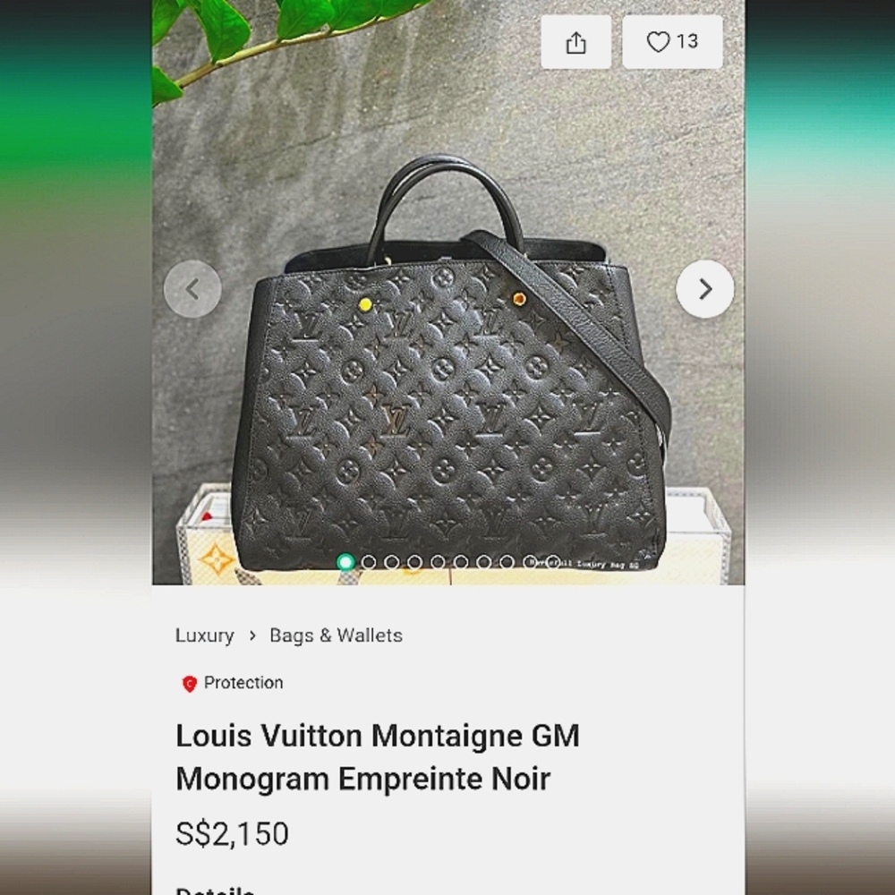 Louis Vuitton monogram bag